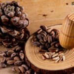 Pine Nuts Benefits