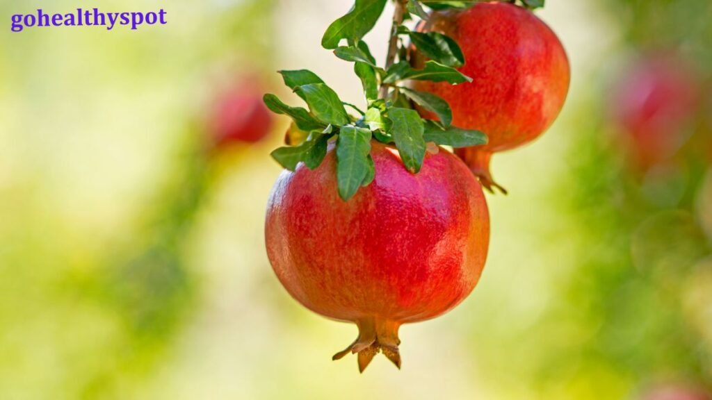 Pomegranate  Benefits