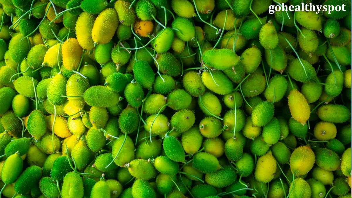 Spiny Gourd Benefits