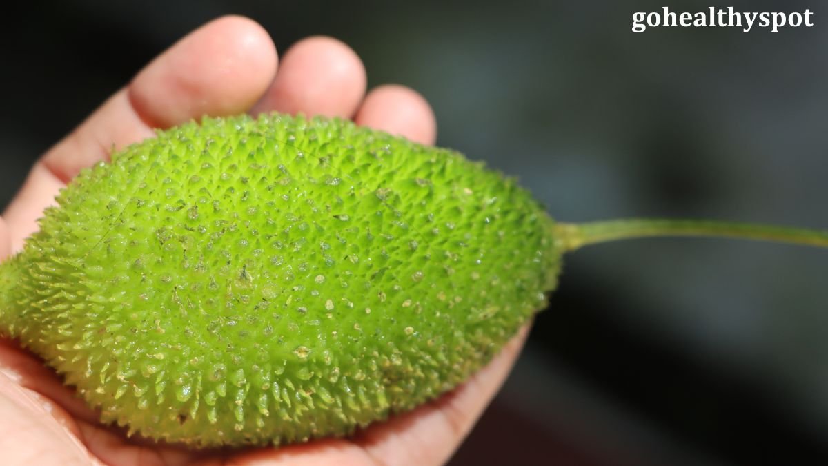 Spiny Gourd Benefits