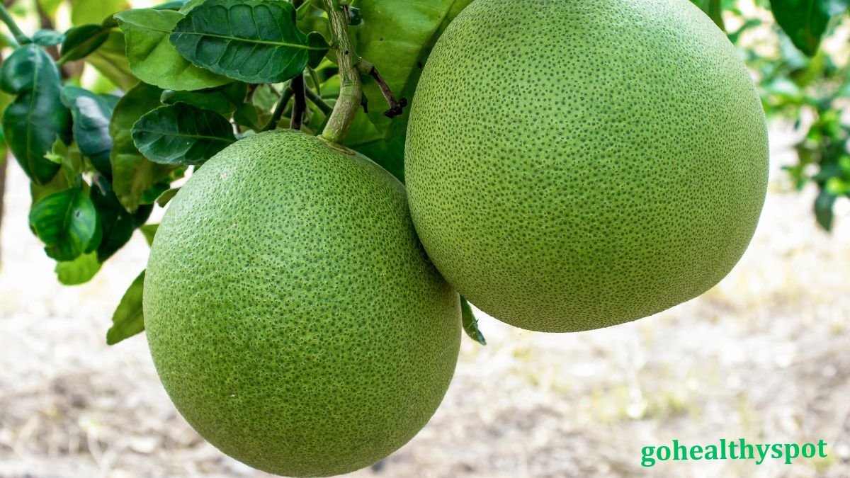 Pomelo Benefits