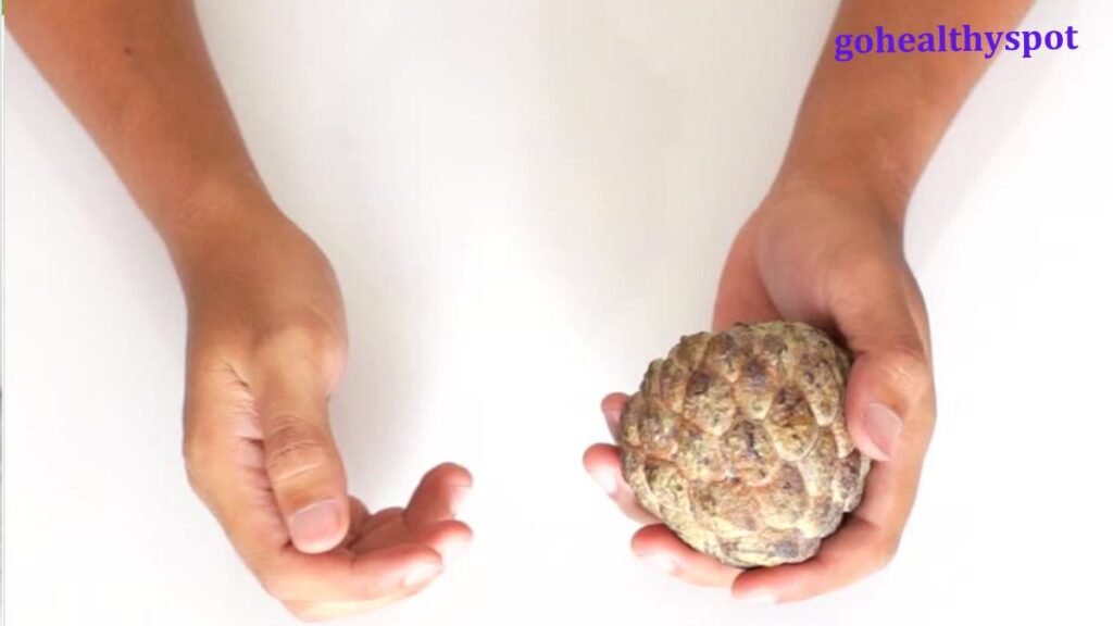 Custard Apple Benefits